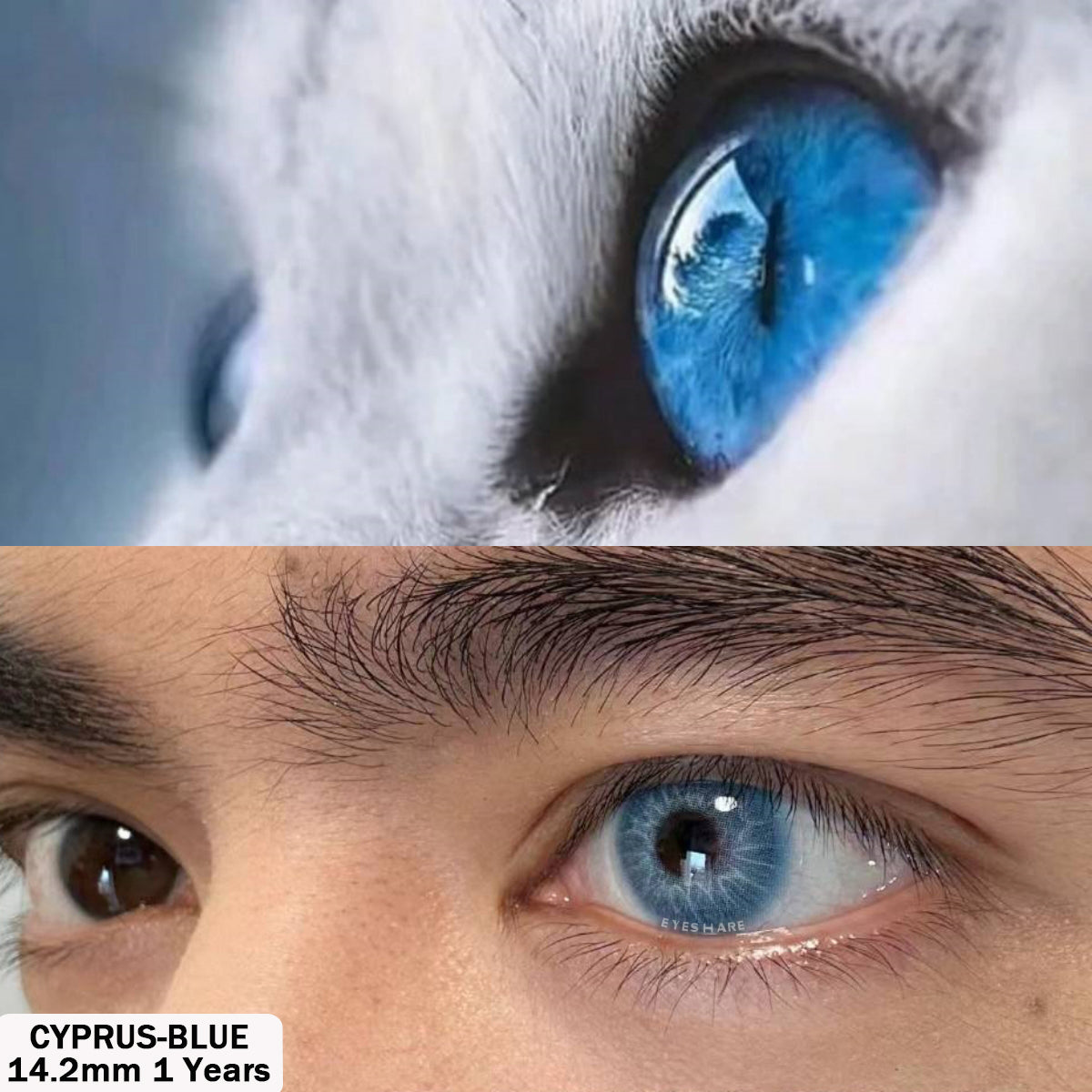 Azul Chipre 14,2 mm 1 par | 1 año