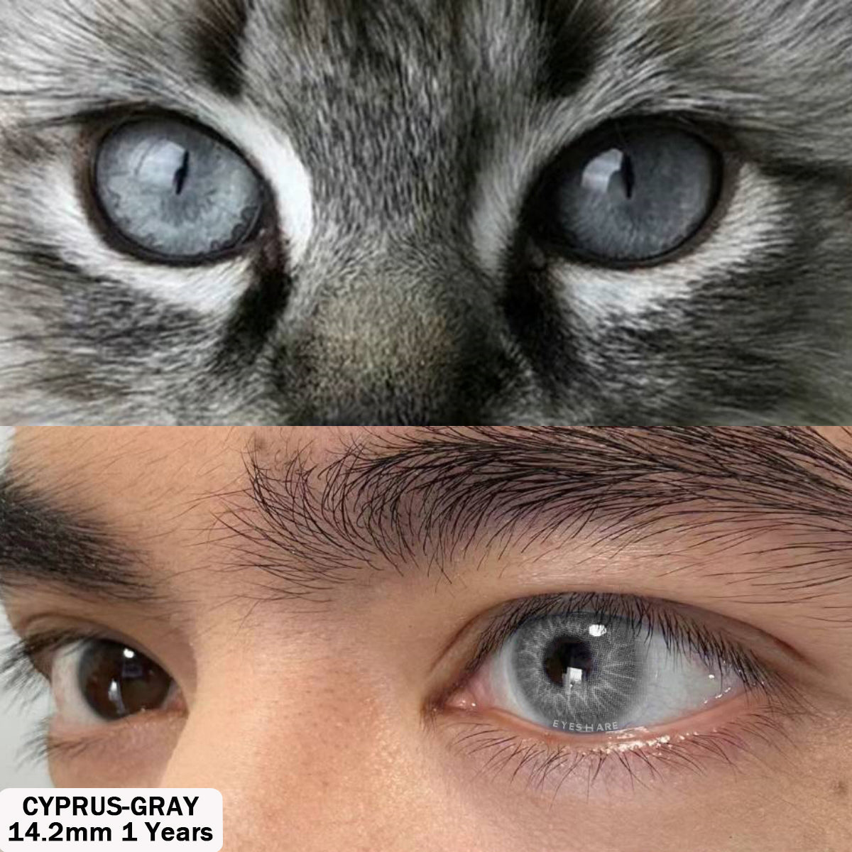 Gris Chipre 14,2 mm 1 par | 1 año