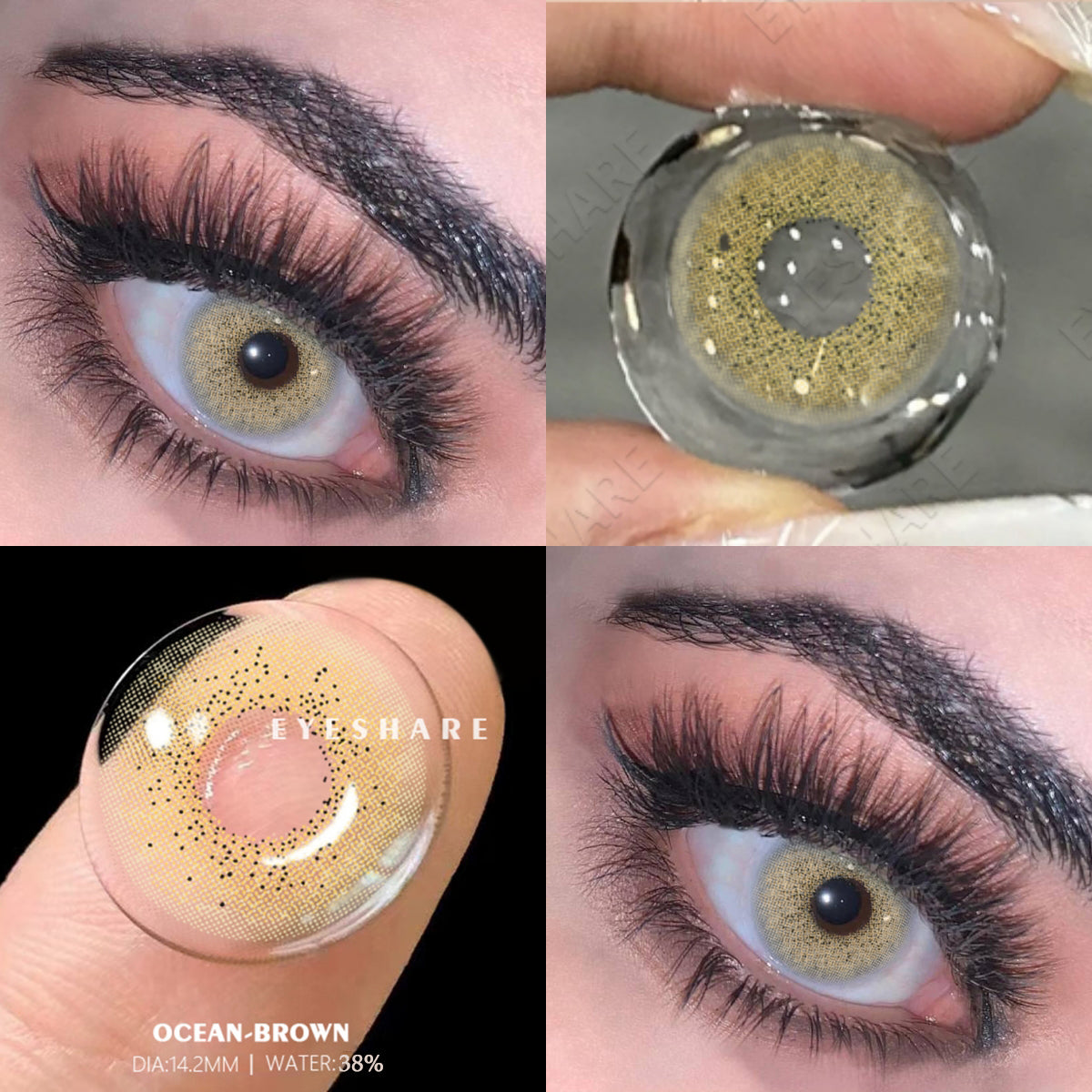 Marrón océano, 14,2 mm, 1 par | 1 año