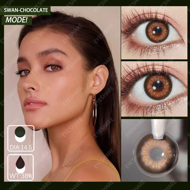 Cisne Chocolate 14,5 mm 1 par | 1 año