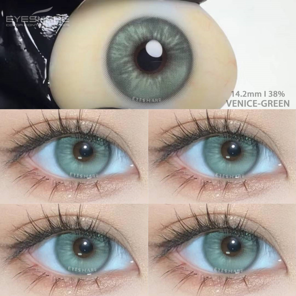 Verde Venecia 14,2 mm 1 par | 1 año