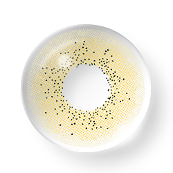 Marrón océano, 14,2 mm, 1 par | 1 año