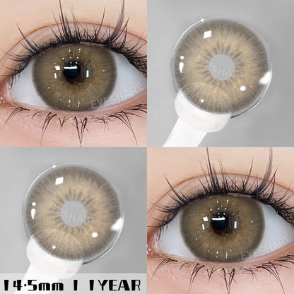Holland Brown 14,5 mm, 1 par | 1 año