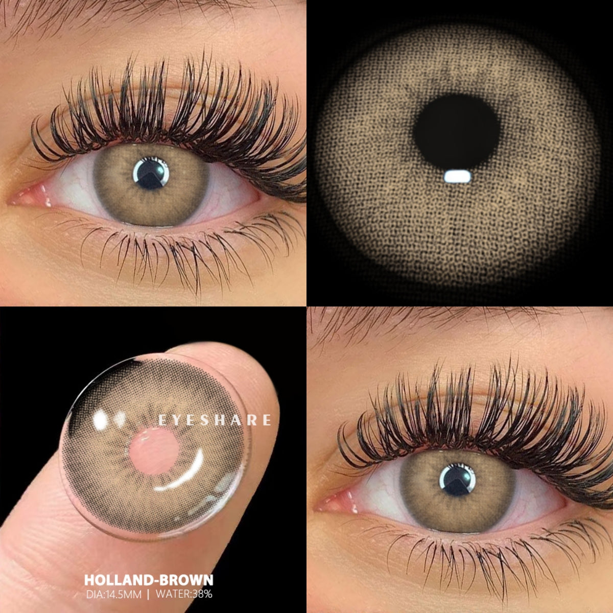 Holland Brown 14,5 mm, 1 par | 1 año
