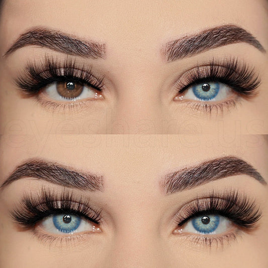 Pattaya Blue 14,2 mm 1 par | 1 año
