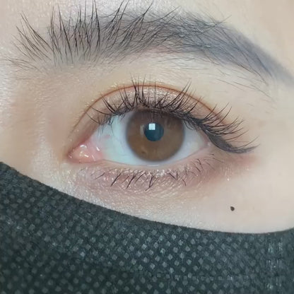 Diamante gris 14,5 mm 1 par | 1 año